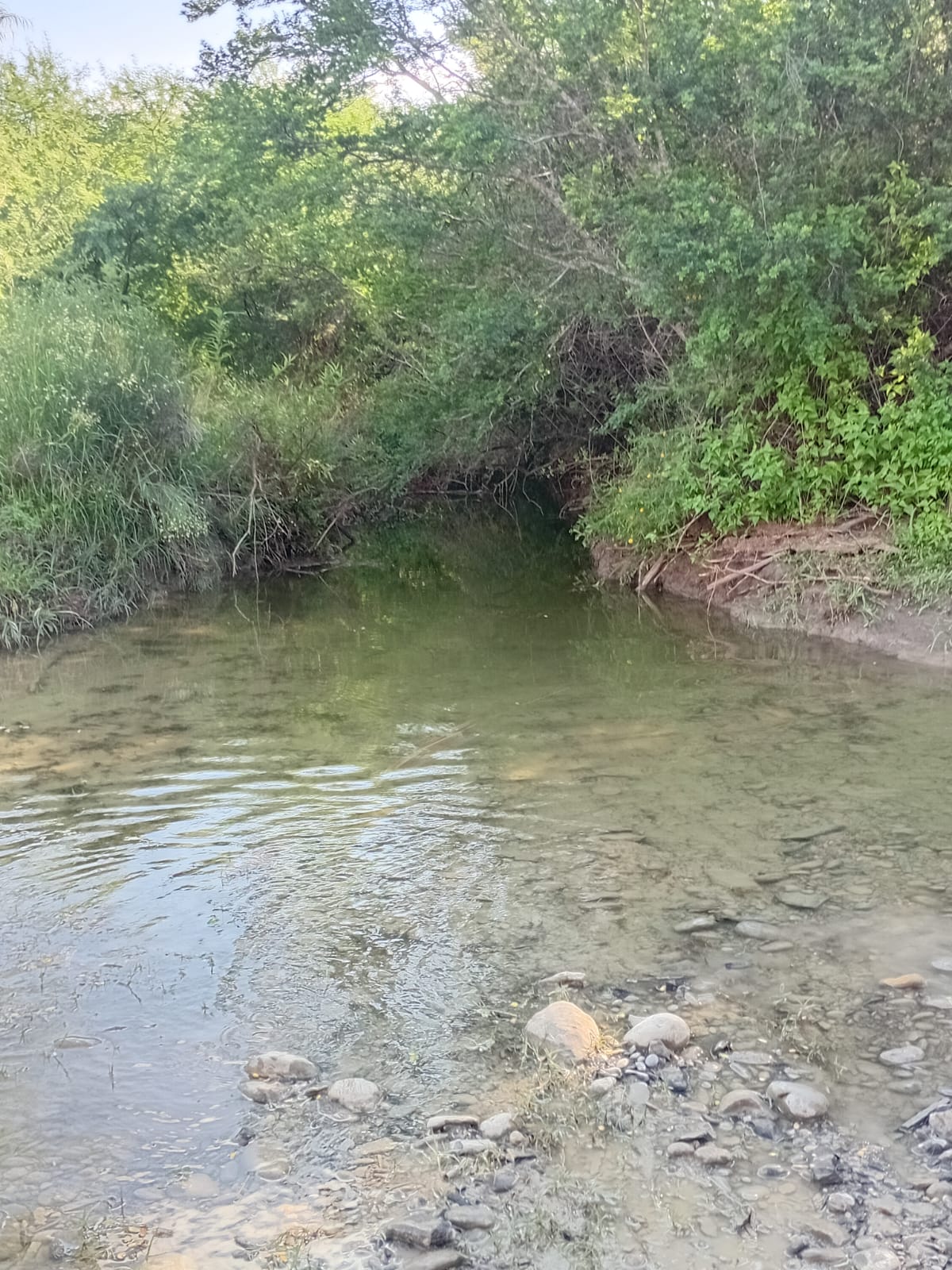 RANCHO EN VENTA EN GRAL TERAN,