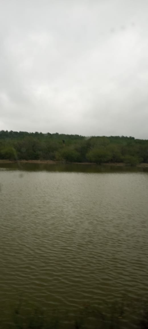 RANCHO EN VENTA EN GENERAL TER