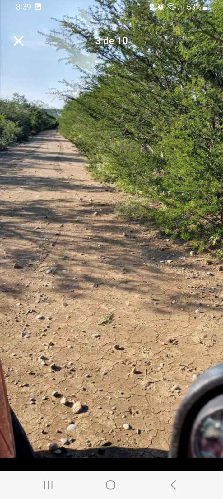 RANCHO EN VENTA EN  GENERAL TE